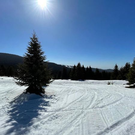 KOPAONIK -Beautiful view APARTMENT- Skiing Exterior foto