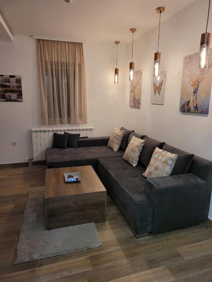 KOPAONIK -Beautiful view APARTMENT- Skiing Exterior foto