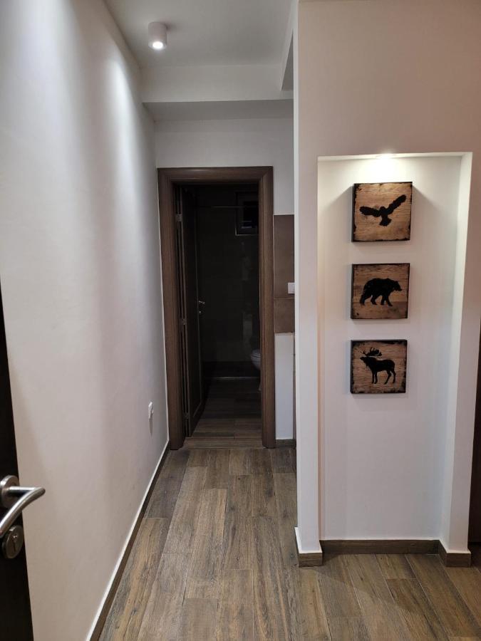 KOPAONIK -Beautiful view APARTMENT- Skiing Exterior foto