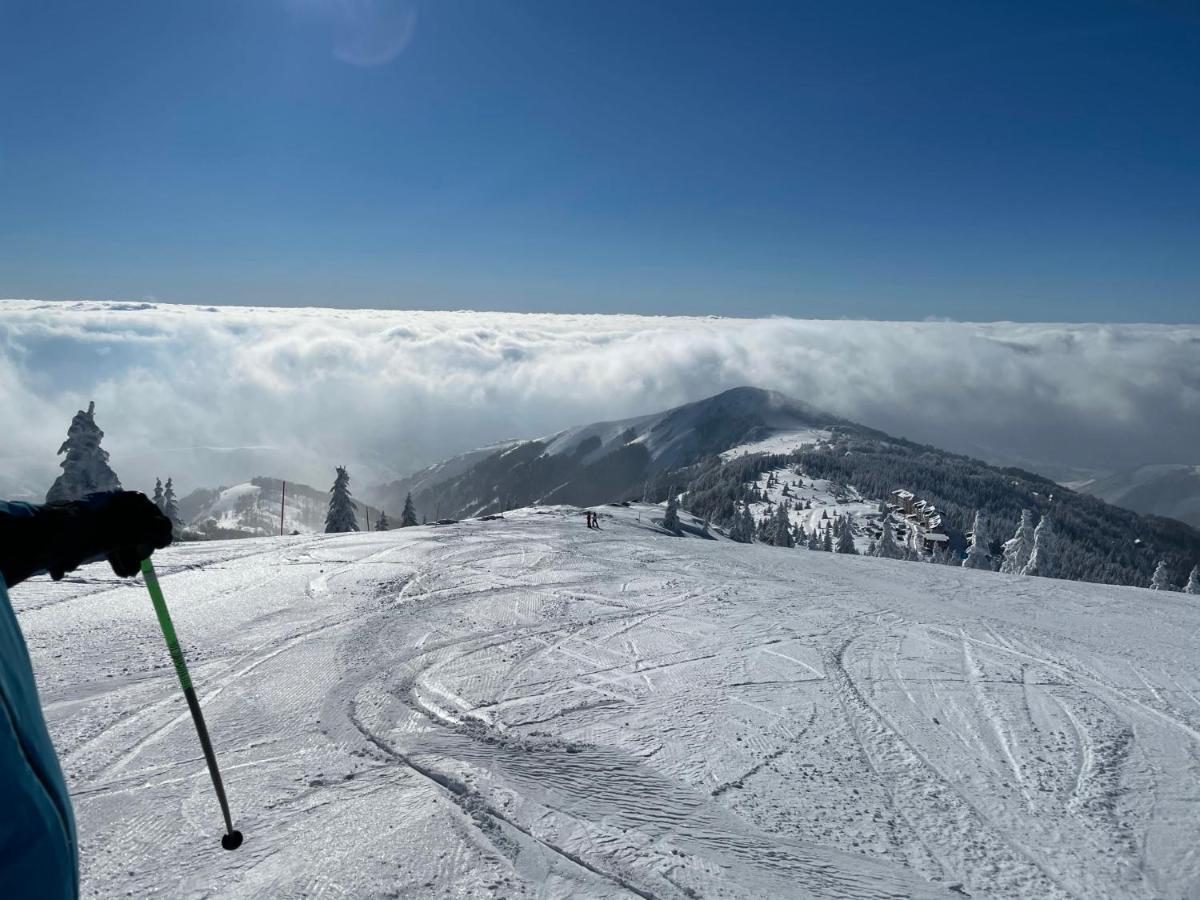 KOPAONIK -Beautiful view APARTMENT- Skiing Exterior foto