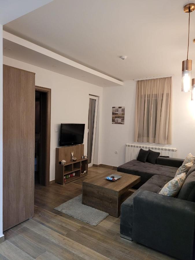 KOPAONIK -Beautiful view APARTMENT- Skiing Exterior foto