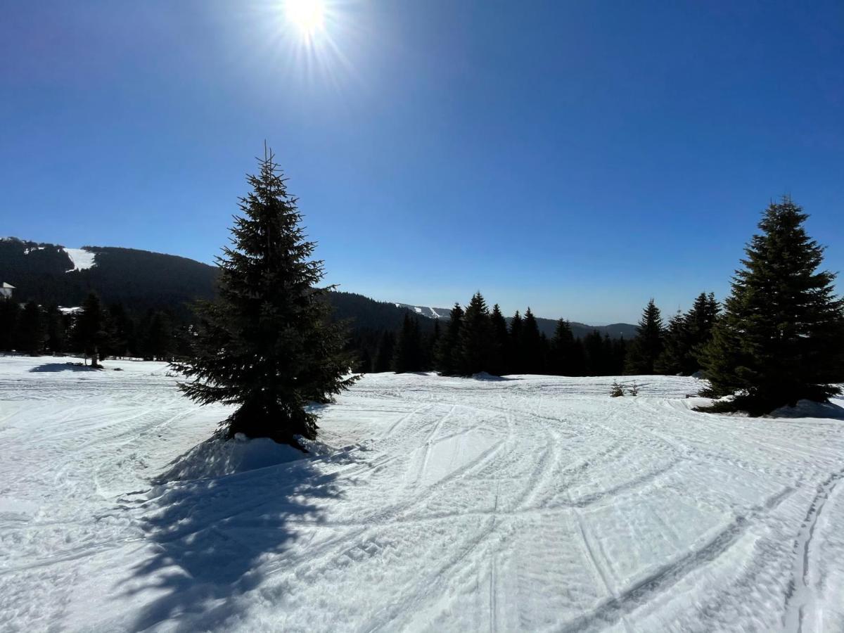KOPAONIK -Beautiful view APARTMENT- Skiing Exterior foto