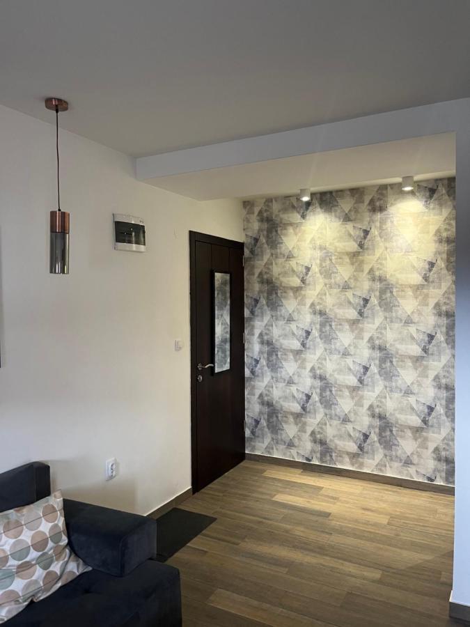 KOPAONIK -Beautiful view APARTMENT- Skiing Exterior foto